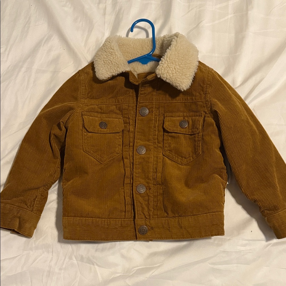 GAP Kids Brown Corduroy Jacket with Cream Collar